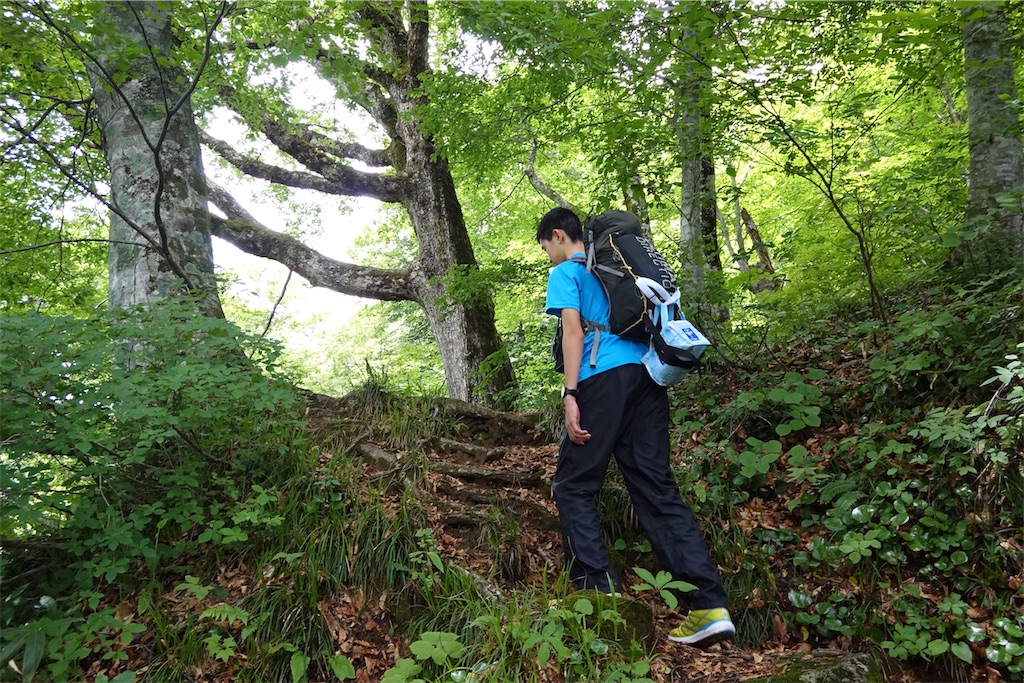 f:id:tullysuzuki:20190717201737j:image f:id:tullysuzuki:20190717201737j:image