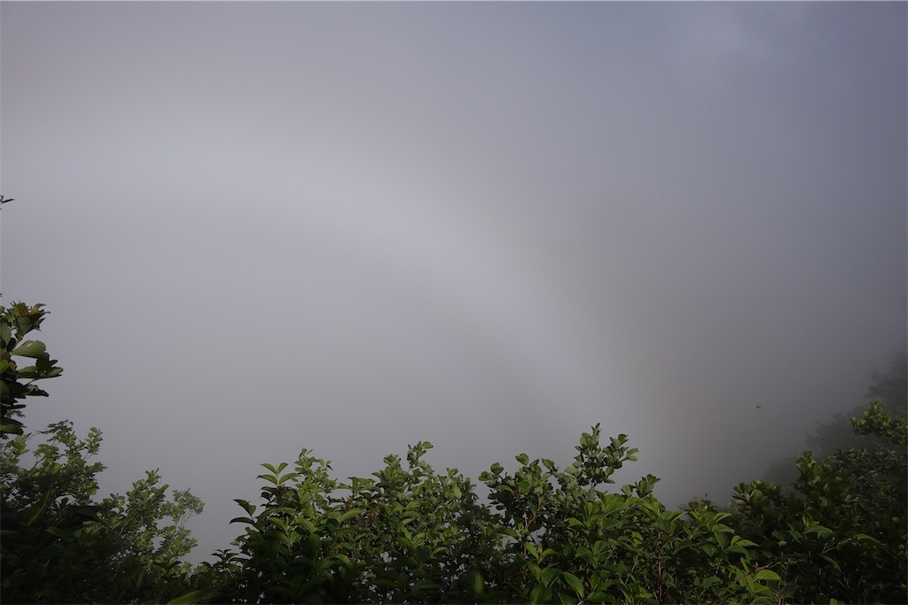 f:id:tullysuzuki:20190722232222j:image f:id:tullysuzuki:20190722232222j:image