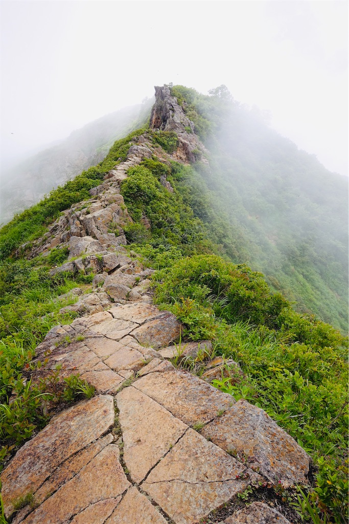 f:id:tullysuzuki:20190722235301j:image f:id:tullysuzuki:20190722235301j:image