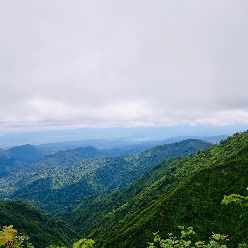 f:id:tullysuzuki:20190723130110j:image f:id:tullysuzuki:20190723130110j:image