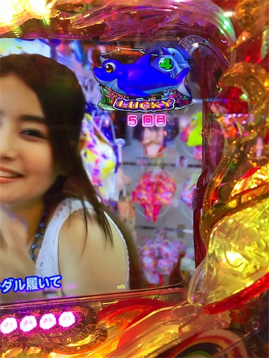 f:id:tumamimi:20171019215837j:image