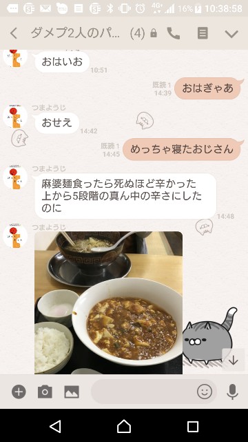 f:id:tumamimi:20180306104206j:plain