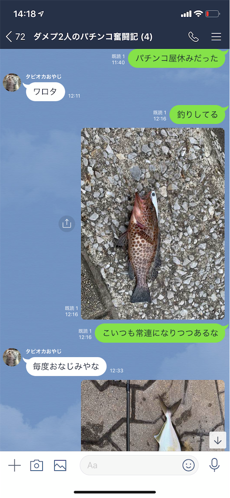 f:id:tumamimi:20191007142842p:image