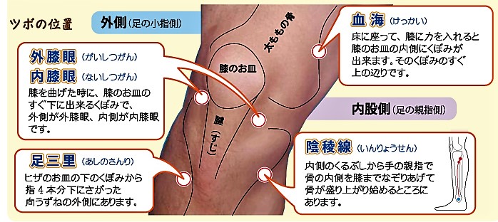 f:id:tumh-step:20170109095558j:plain f:id:tumh-step:20170109095558j:plain