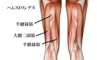 f:id:tumh-step:20170112210044j:plain f:id:tumh-step:20170112210044j:plain