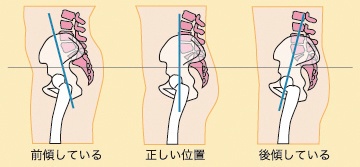 f:id:tumh-step:20170112210139j:plain f:id:tumh-step:20170112210139j:plain