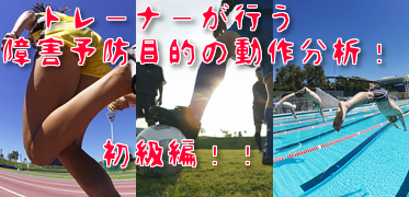 f:id:tumh-step:20170112210651p:plain f:id:tumh-step:20170112210651p:plain