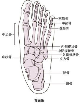 f:id:tumh-step:20170114135323g:plain f:id:tumh-step:20170114135323g:plain