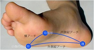 f:id:tumh-step:20170114135725j:plain f:id:tumh-step:20170114135725j:plain