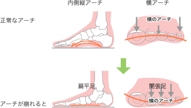 f:id:tumh-step:20170114140701g:plain f:id:tumh-step:20170114140701g:plain