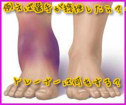 f:id:tumh-step:20170117153804j:plain f:id:tumh-step:20170117153804j:plain