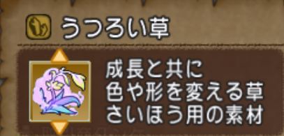 イメージ 23
