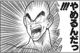 イメージ 17