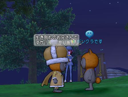 イメージ 22