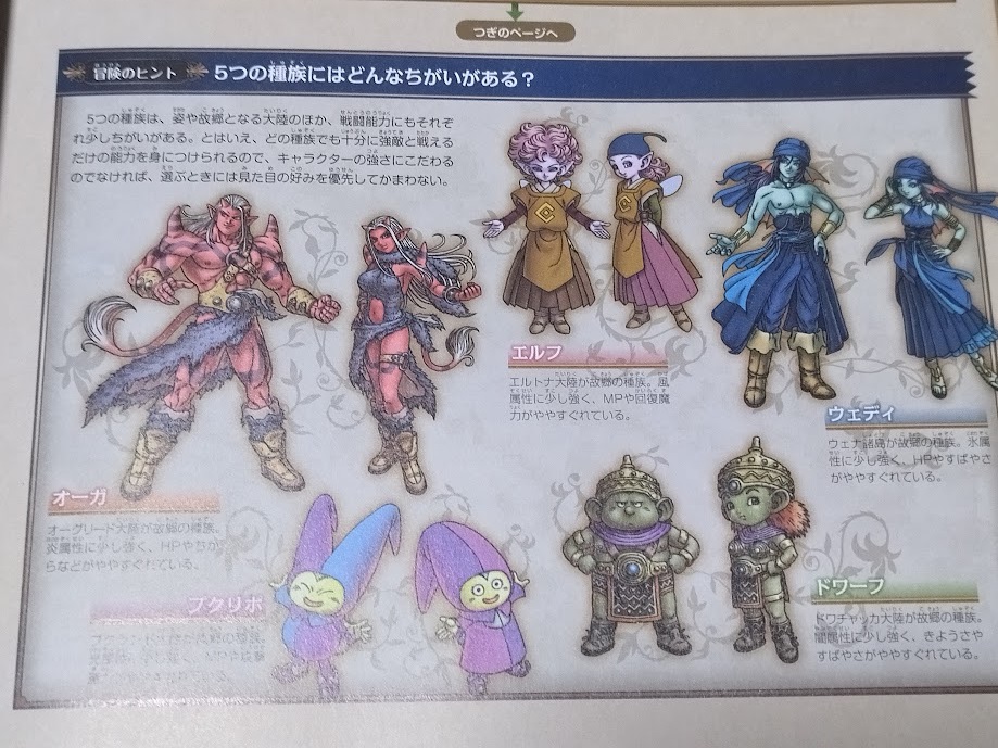 エイトさん専用　ドラゴンクエスト　セット購入者特典　冒険の世界地図 ドラゴンクエスト8のフィールド上の宝箱のありかについて解説