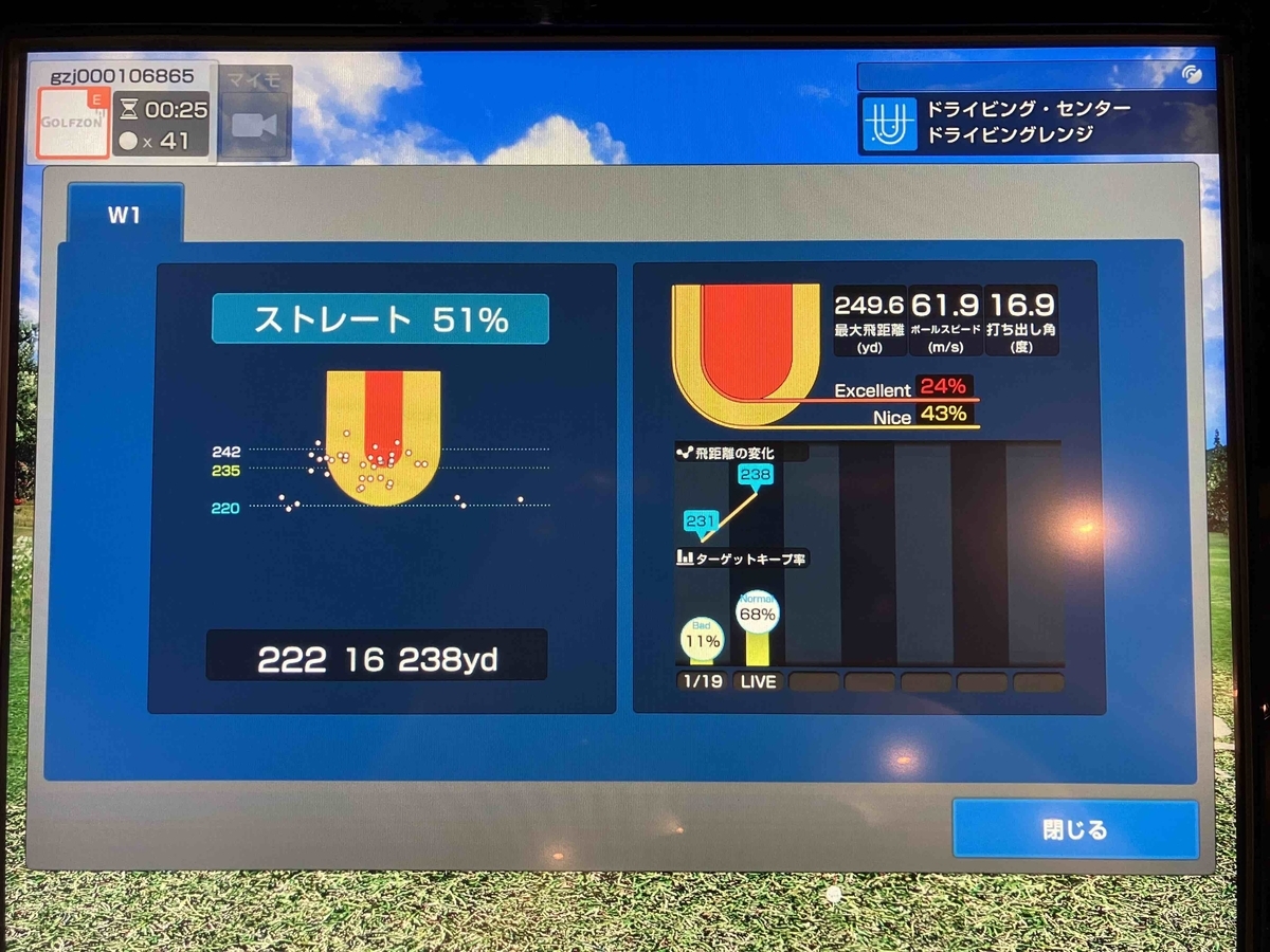 ドライバーのスタッツ