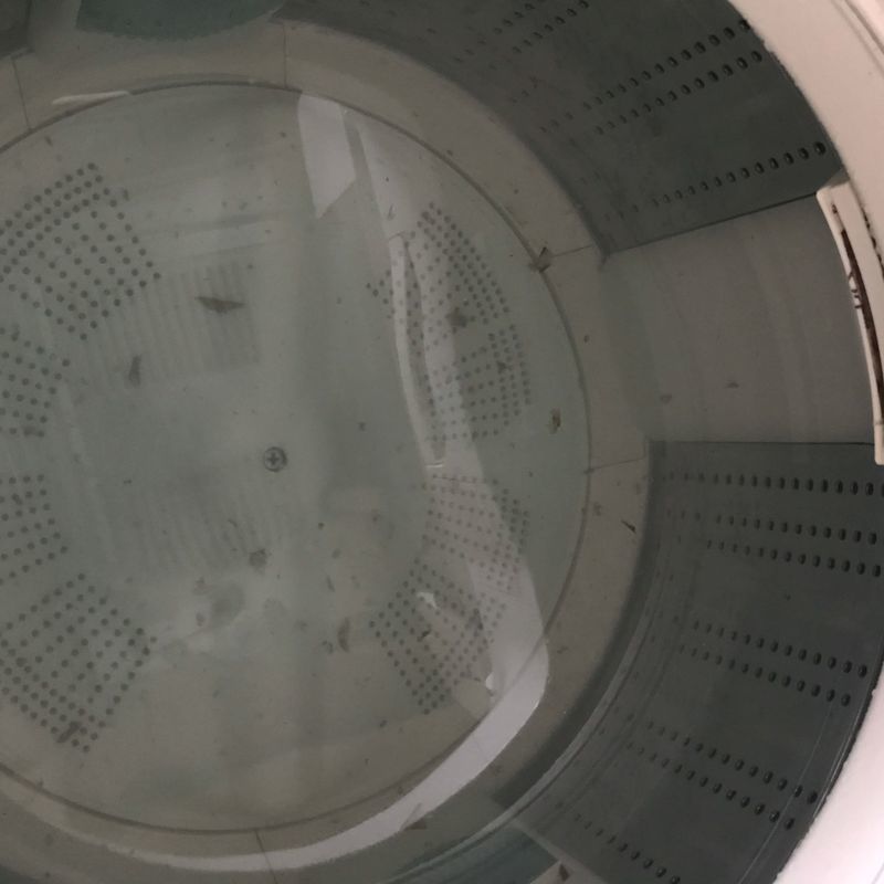 すすぎ後の洗濯機 中身 シャボン玉洗濯槽クリーナー
