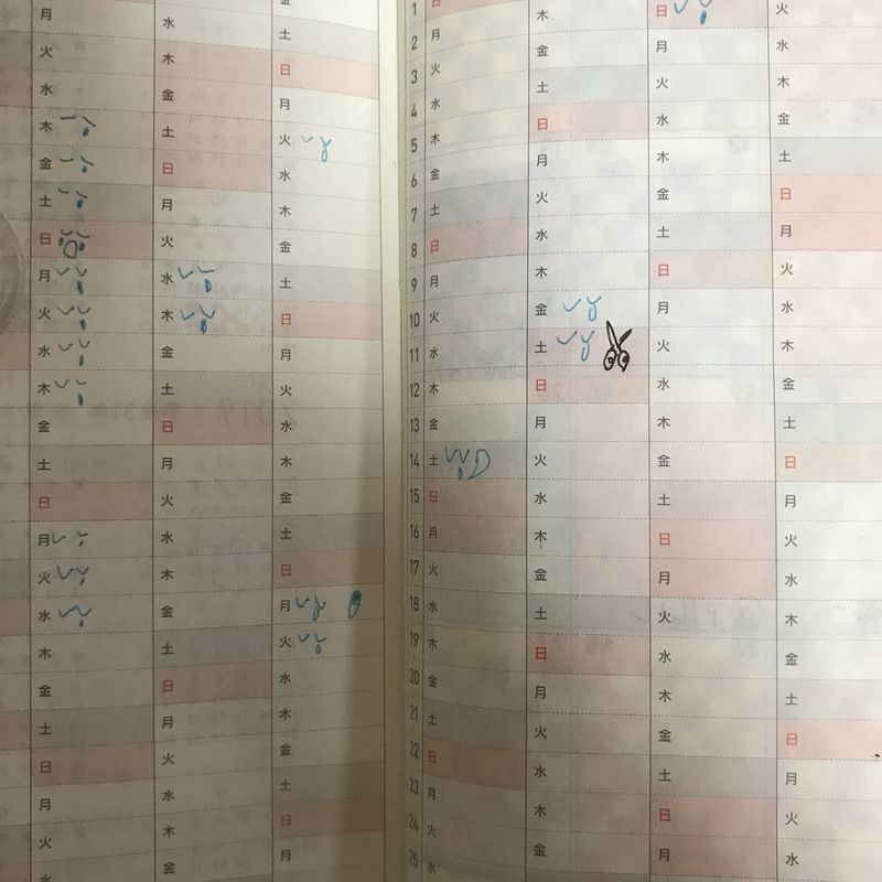 ほぼ日weeks 年間カレンダー 感情記録