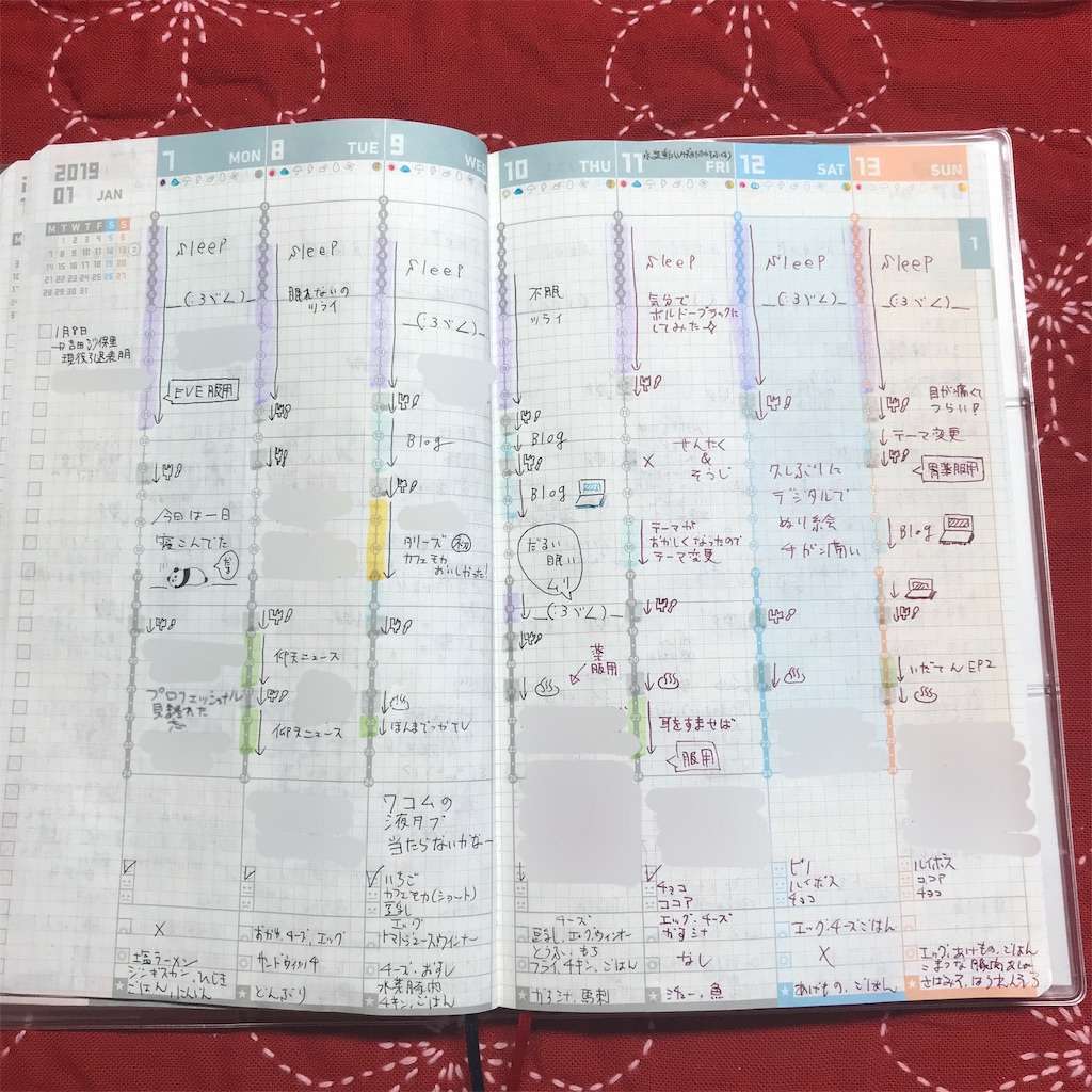 f:id:tumuji2:20190206180747j:plain ジブン手帳 中身