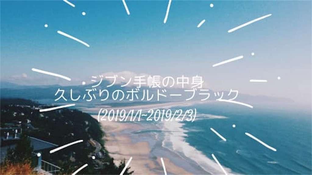 f:id:tumuji2:20190206184136j:plain ジブン手帳の中身(2019/1/1~2019/2/3) 久しぶりのボルドーブラック