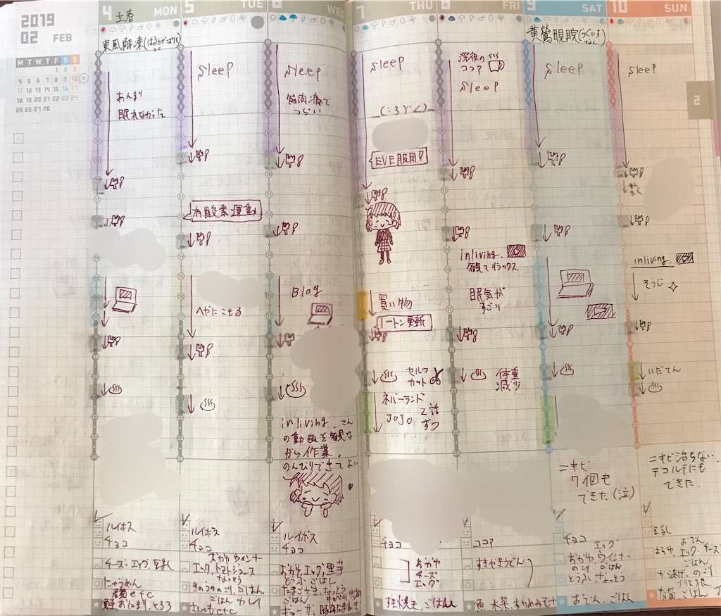 f:id:tumuji2:20190302115245j:plain ジブン手帳 中身