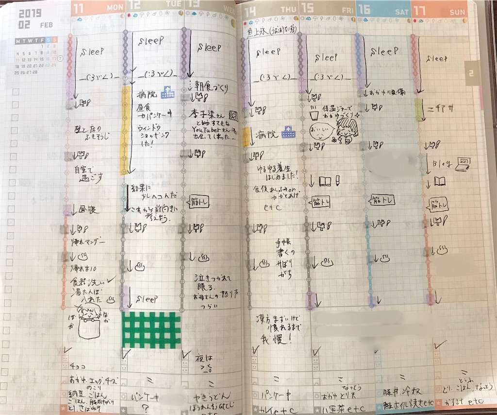 f:id:tumuji2:20190302115249j:plain ジブン手帳 中身
