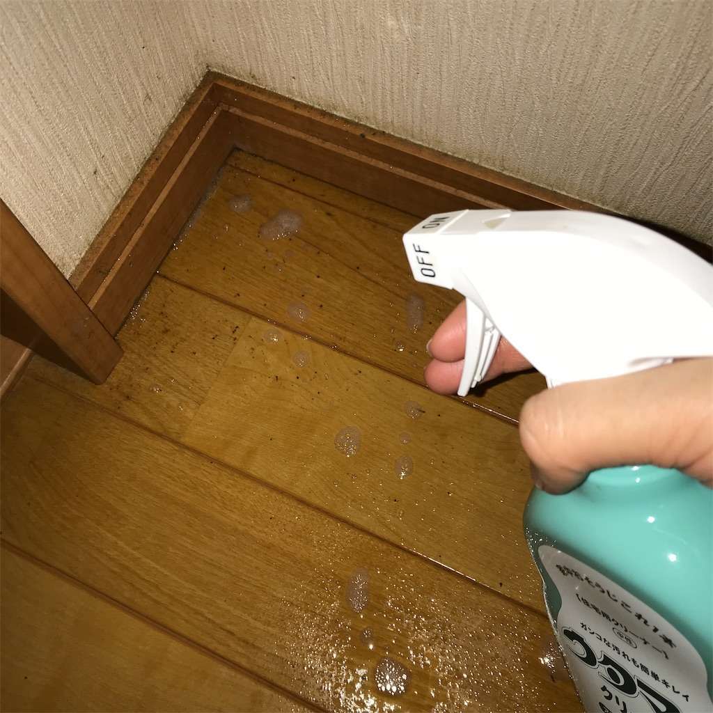 f:id:tumuji2:20190325214817j:image f:id:tumuji2:20190325214817j:image