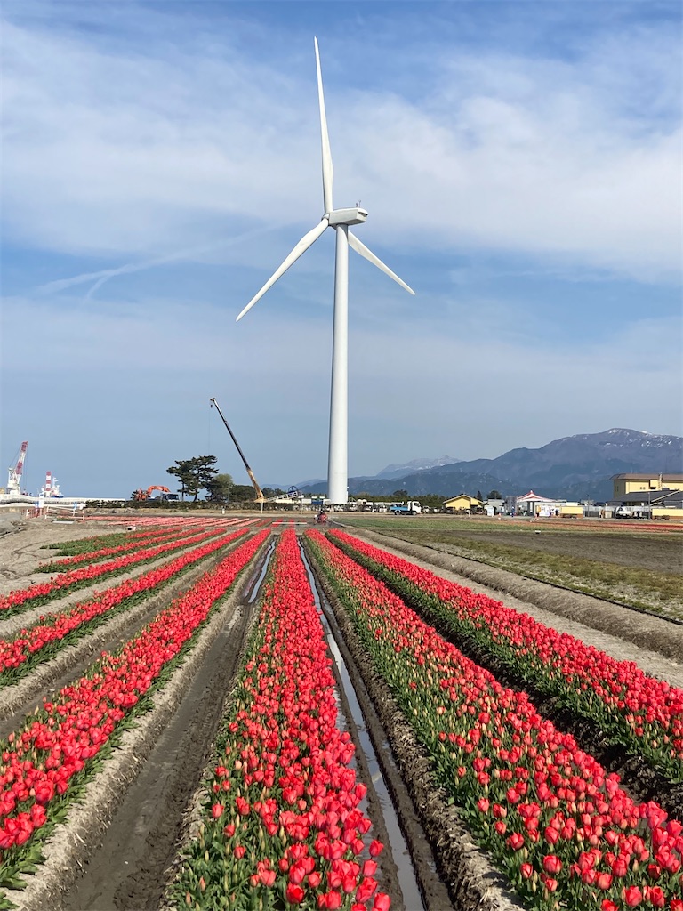 f:id:tumumix:20230405125055j:image f:id:tumumix:20230405125055j:image