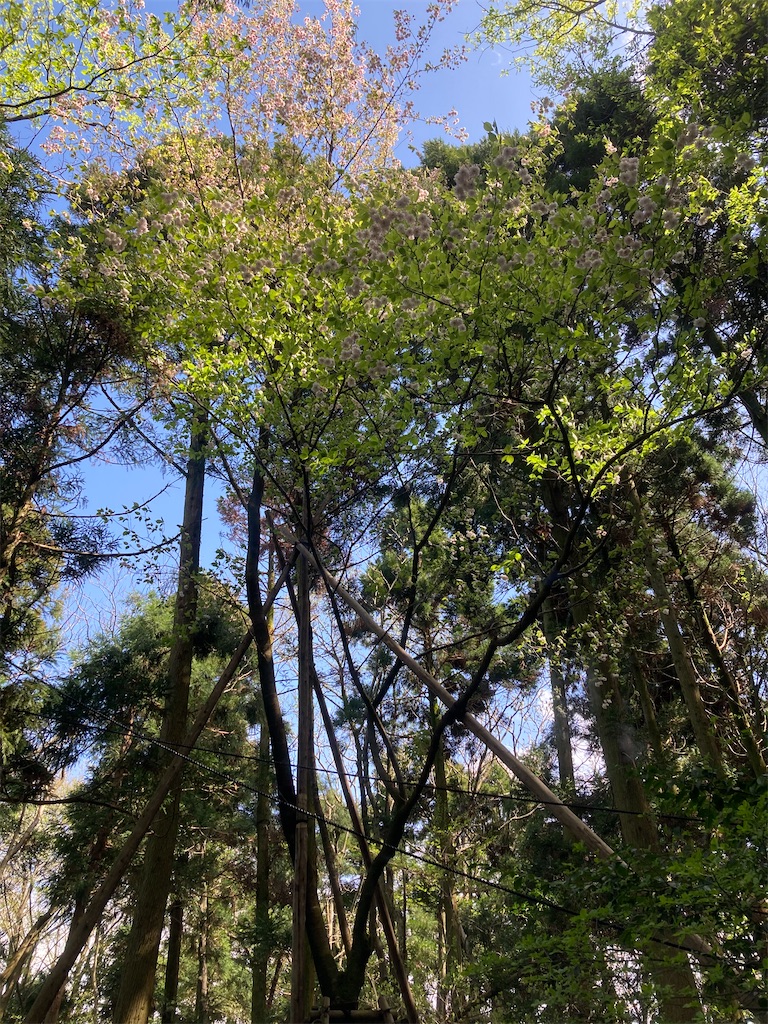 f:id:tumumix:20230408161650j:image f:id:tumumix:20230408161650j:image