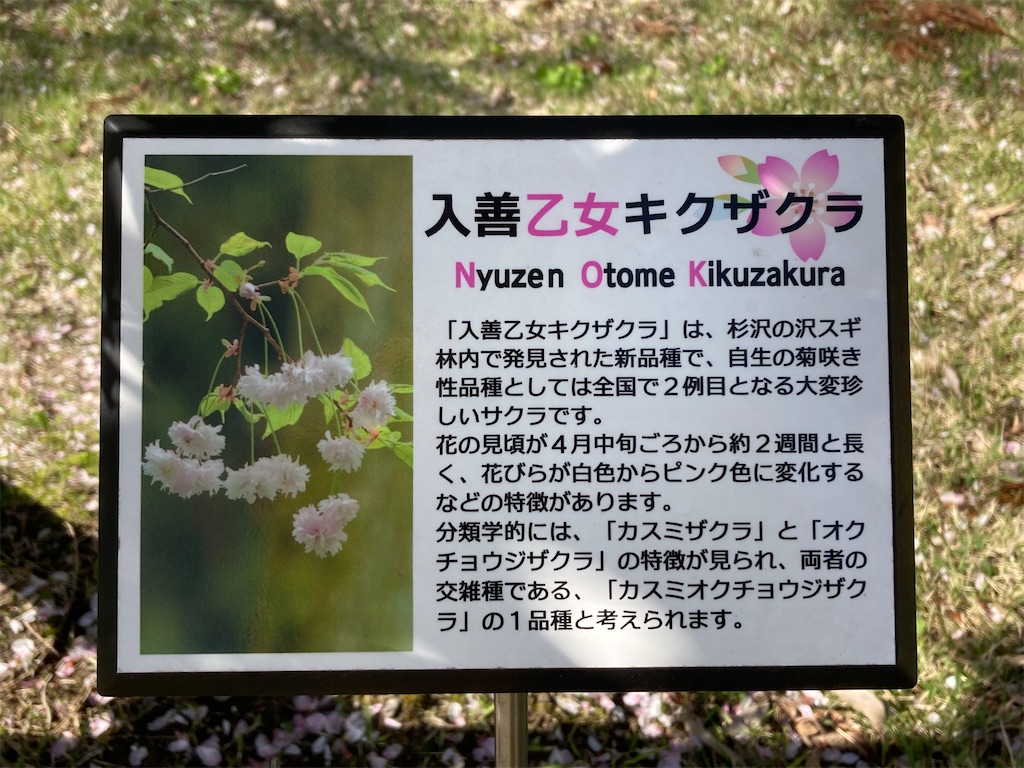 f:id:tumumix:20230408161654j:image f:id:tumumix:20230408161654j:image