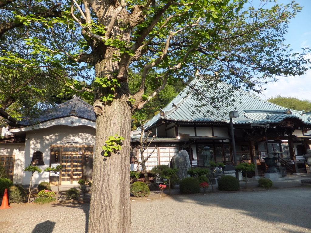 f:id:tunagaru-sekai:20170605172550j:plain f:id:tunagaru-sekai:20170605172550j:plain