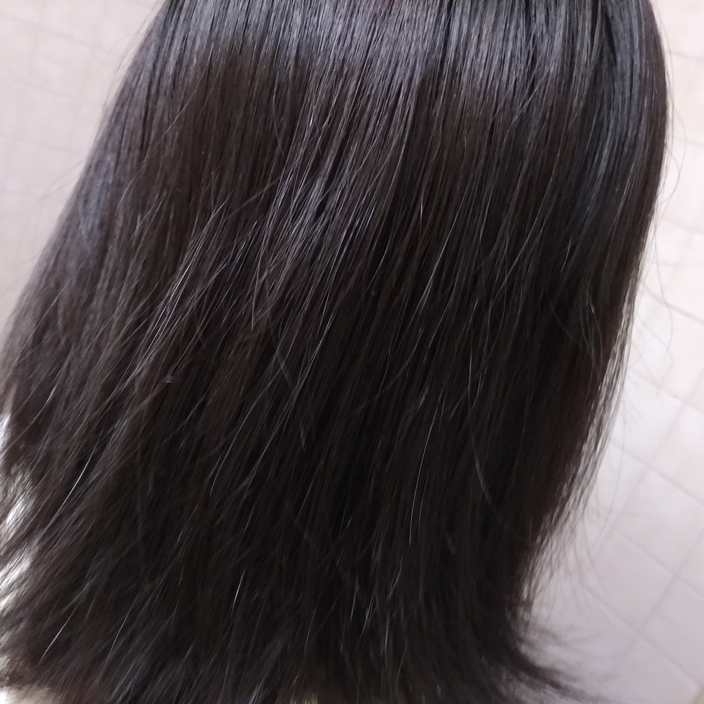 f:id:tunamaru:20181102163552j:plain f:id:tunamaru:20181102163552j:plain