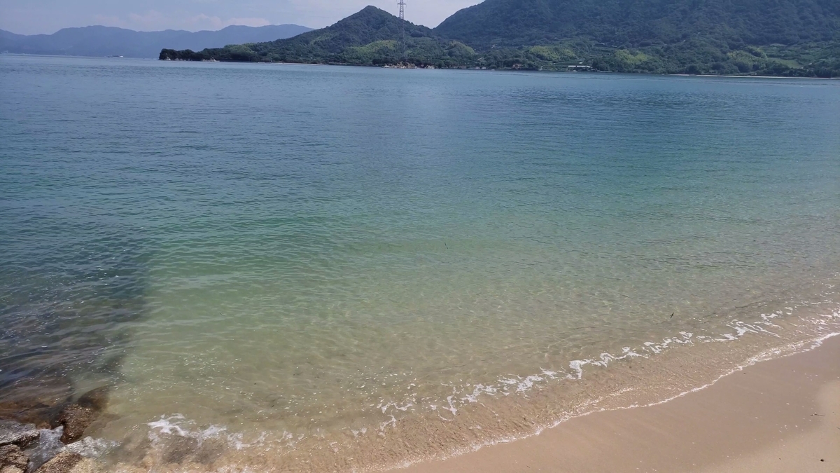 f:id:tunarinblog:20191231181507j:plain