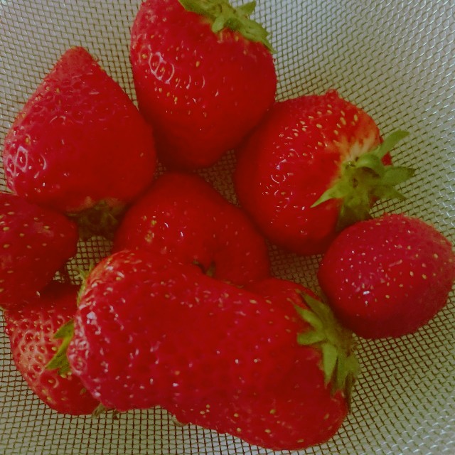 f:id:tunatunarice_03:20211121215345j:plain