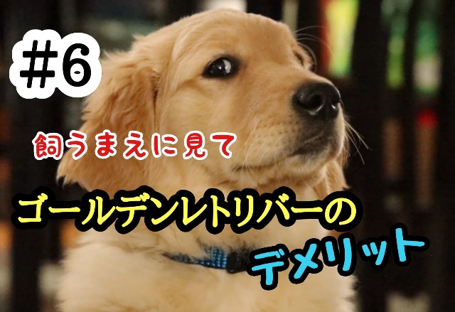 f:id:tune1014:20240830061602j:image f:id:tune1014:20240830061602j:image