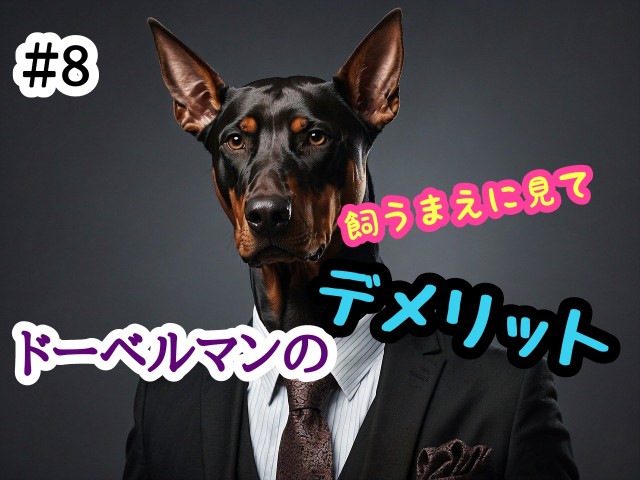 f:id:tune1014:20240903140035j:image f:id:tune1014:20240903140035j:image