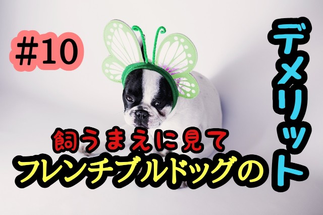 f:id:tune1014:20240909110838j:image f:id:tune1014:20240909110838j:image