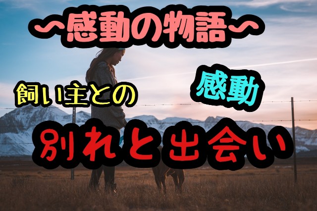 f:id:tune1014:20240917073035j:image