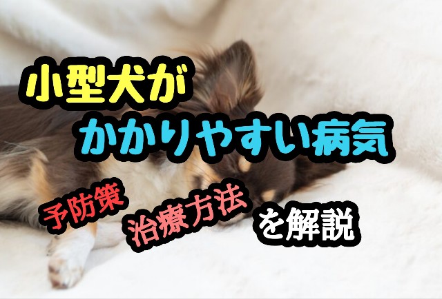 f:id:tune1014:20240919055930j:image