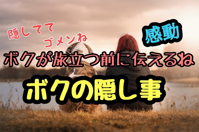 f:id:tune1014:20240924203754j:image f:id:tune1014:20240924203754j:image