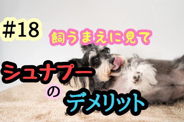 f:id:tune1014:20241002062746j:image f:id:tune1014:20241002062746j:image