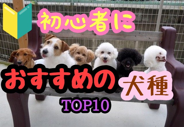 f:id:tune1014:20241005082551j:image