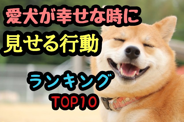 f:id:tune1014:20241017063710j:image f:id:tune1014:20241017063710j:image