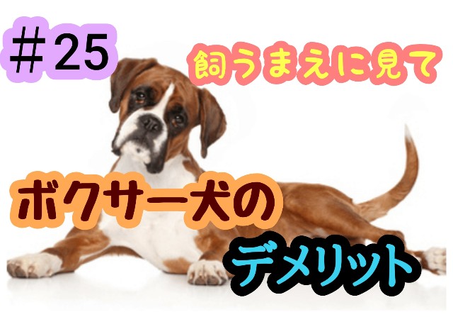 f:id:tune1014:20241023064833j:image