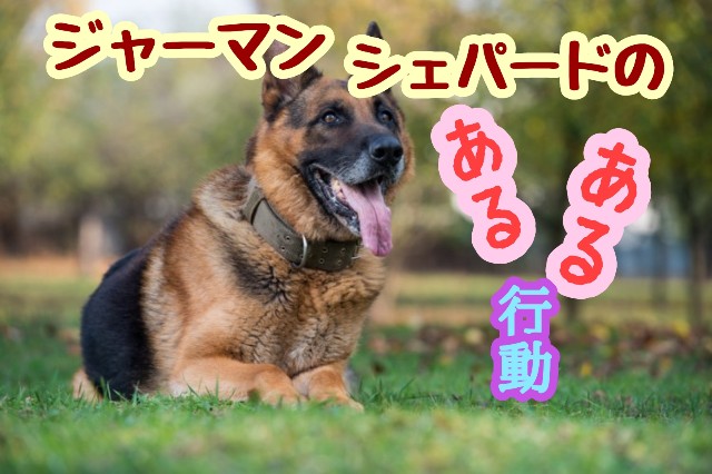 f:id:tune1014:20250920123330j:image f:id:tune1014:20250920123330j:image