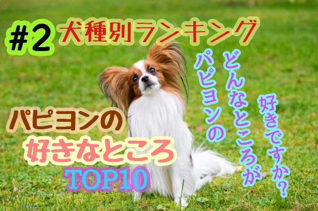 f:id:tune1014:20251113173856j:image