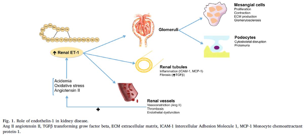 f:id:tuneYoshida:20190512212101p:plain