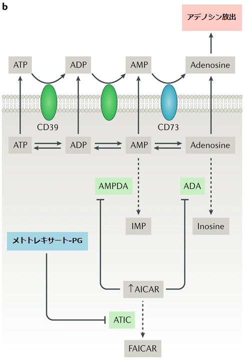f:id:tuneYoshida:20201004214325p:plain