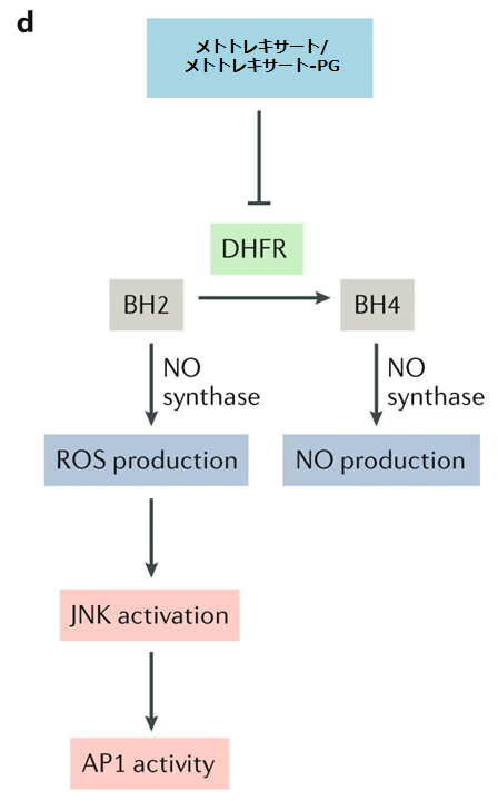 f:id:tuneYoshida:20201004215927p:plain