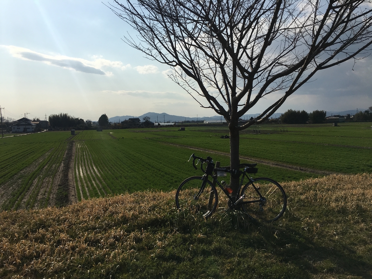 f:id:tuneniwaraio:20190314143819j:plain